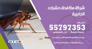 شركة مكافحة حشرات الجابرية
