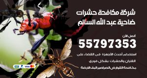 شركة مكافحة حشرات ضاحية عبدالله السالم