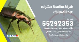 شركة مكافحة حشرات عبدالله مبارك